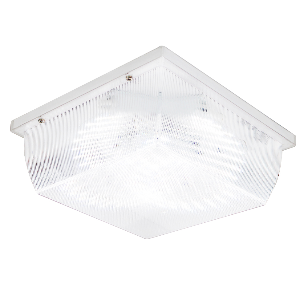 LED Outdoor Ceiling Light OCF10